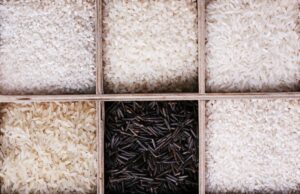 các loại gạo phổ biến hiện nay