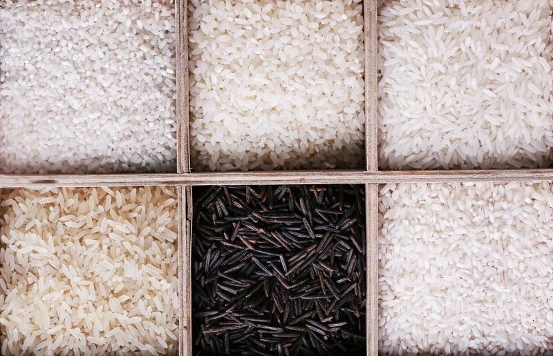 các loại gạo phổ biến hiện nay