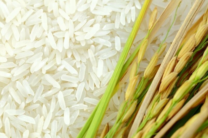 cách nhận biết gạo ngon sạch an toàn