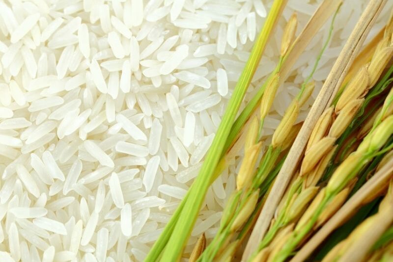 gạo ngon là gì hạt đều ít gãy