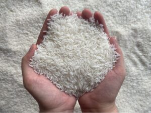 gạo ST25 hạt dài trắng trong cao cấp