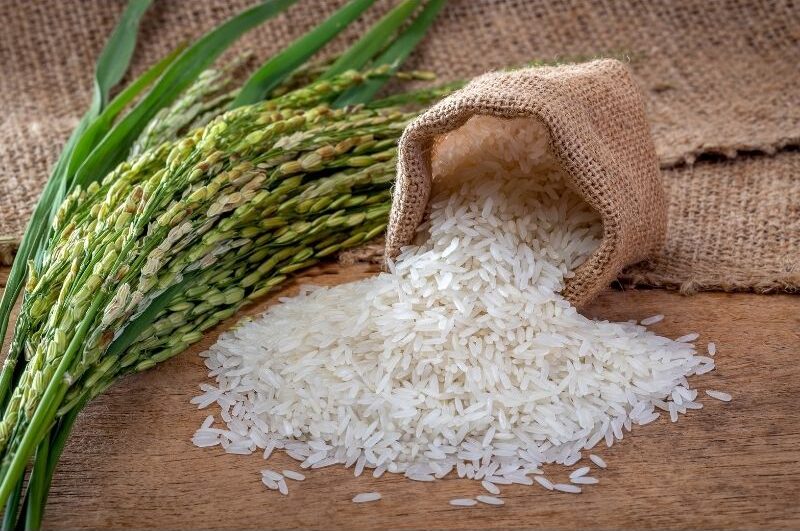 phân biệt gạo ngon và gạo kém chất lượng